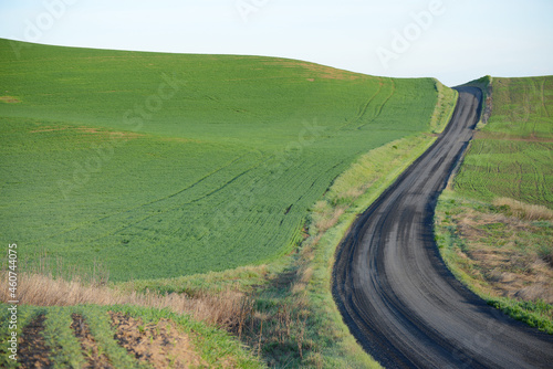 farm hill in washington with local road