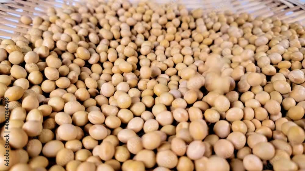 大豆のアップ 大豆のアップ