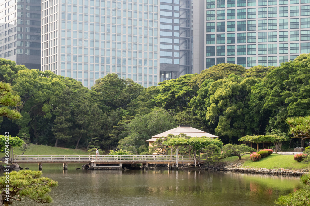 Hama-Rikyu Gardens in Tokyo with teahouse and skyscrapers ion the background Hama-Rikyu Gardens in Tokyo with teahouse and skyscrapers ion the background