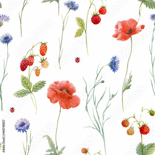 Beautiful vector seamless floral pattern with hand drawn watercolor gentle wild field flowers cornflower poppy. Stock illuistration.