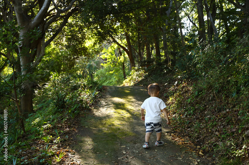 森の中を歩く男の子。小田原の近くの森。