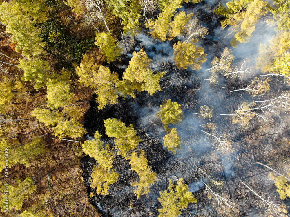forest fire from a height, the fire spreads through the autumn forest, flat lay aerial view
