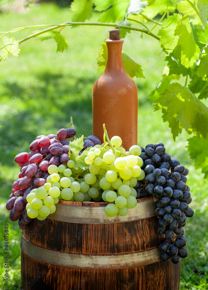 Various colorful grapes and wine bottle