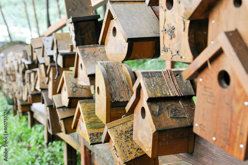 Photography The houses of many colors of small birds