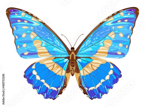 Blue butterfly. Tropical insect. Neon colors. Stock vector illustration isolated on white background. © dinatychynska