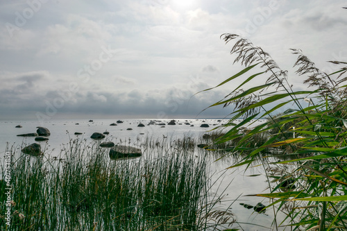 The unusual landscape of Kaltene beach, formed by large boulders covering the coast, morning hour, Kaltene rocky seashore, Latvia photo