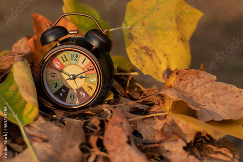 alarm clock and autumn leaves photo