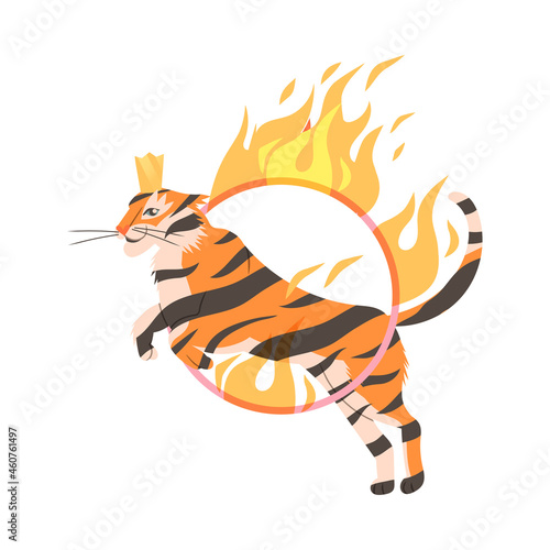 Circus tiger jumping through flaming hoop cartoon vector illustration on white background