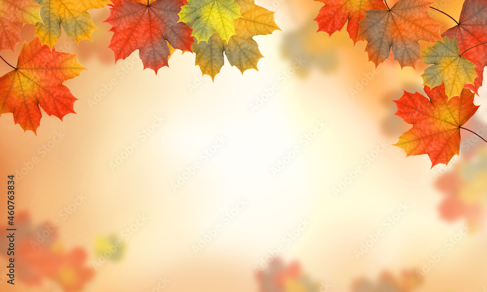 Autumn maple leaves. Autumn background. Autumn maple leaves. Autumn background.
