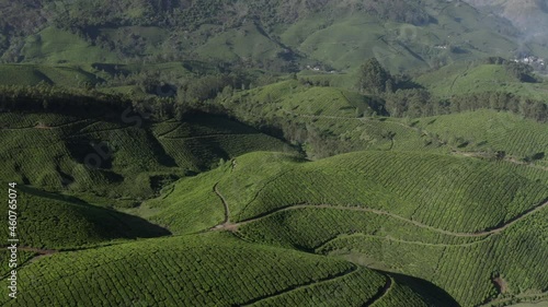Aerial views of beautiful tea plantations in Munnar, India
 photo