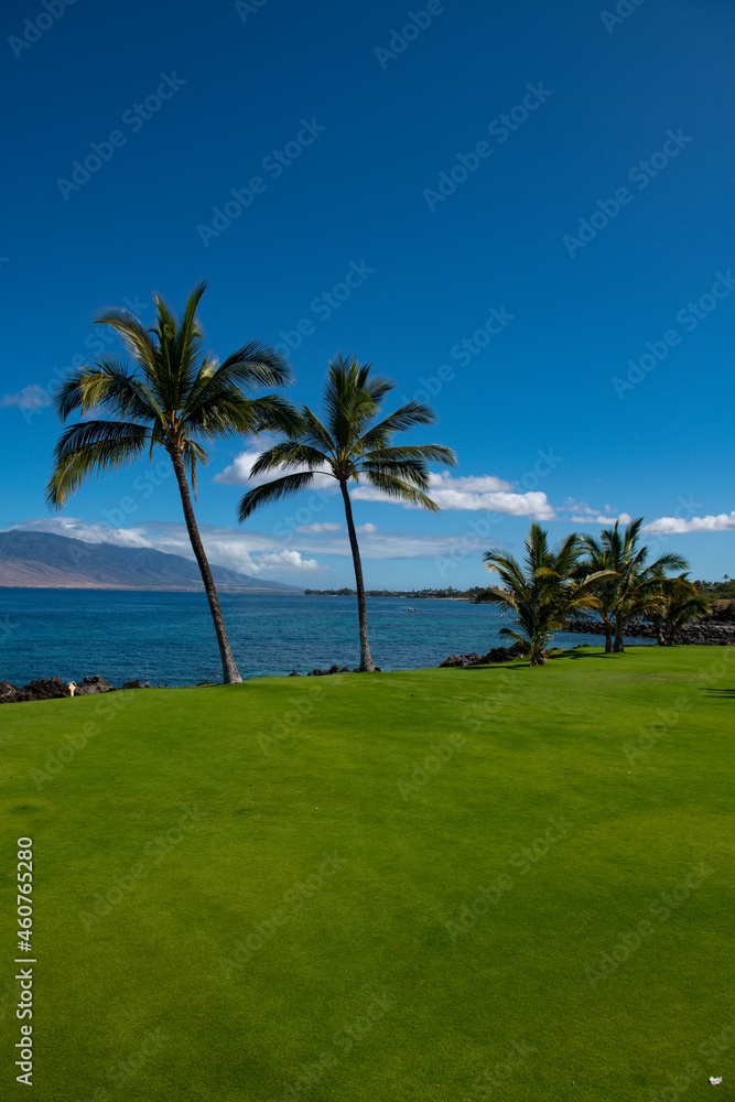 Summer vacation, holiday background of a tropical beach and blue sea. Hawaii beach. Summer vacation, holiday background of a tropical beach and blue sea. Hawaii beach.