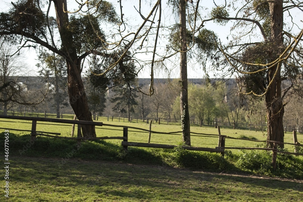 landscape with a house in the background