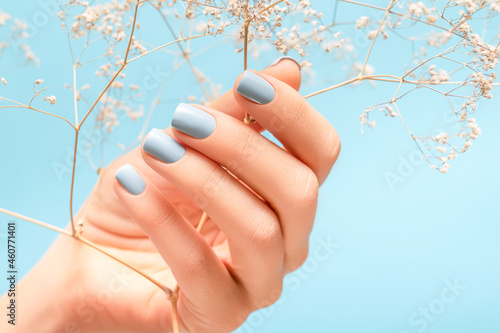 Female hand with brilliant blue nail design. Female hand hold orange autumn flower. Woman hand on blue background