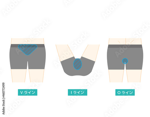 ボディパーツ　VIO　脱毛箇所　ベクターイラスト　男性