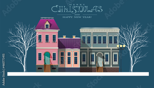 Christmas winter cityscape with beautiful buildings. Vector illustration.