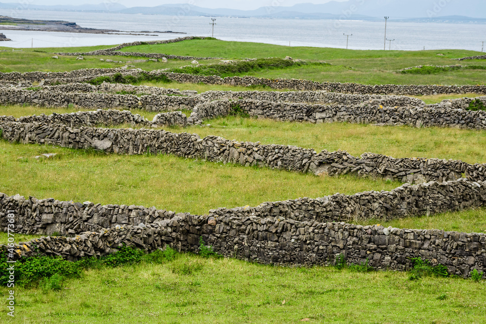 Maze of hand build dry stone fences.Inishmore, Aran Islands, County Galway, Ireland. Irish landscape