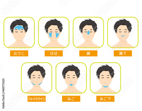 男性の顔　脱毛箇所　 ベクターイラスト
