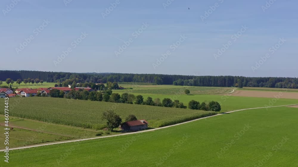 Two raptors fyling circles over an idyllic rural green landscape, filmed by a drone. Two raptors fyling circles over an idyllic rural green landscape, filmed by a drone.
