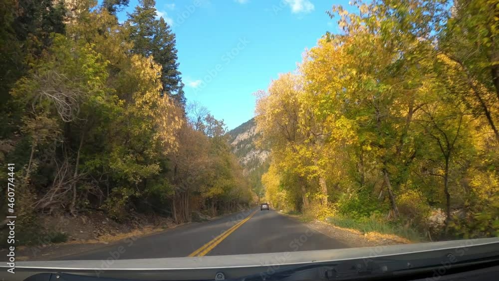 POV View of Car Driving through Vibrant Fall Leaves in Utah Mountains POV View of Car Driving through Vibrant Fall Leaves in Utah Mountains