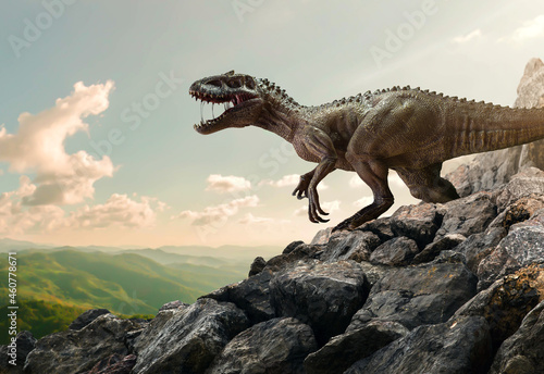 Dinosaur Tyrannosaurus Rex On Top Of Mountain Rock photo