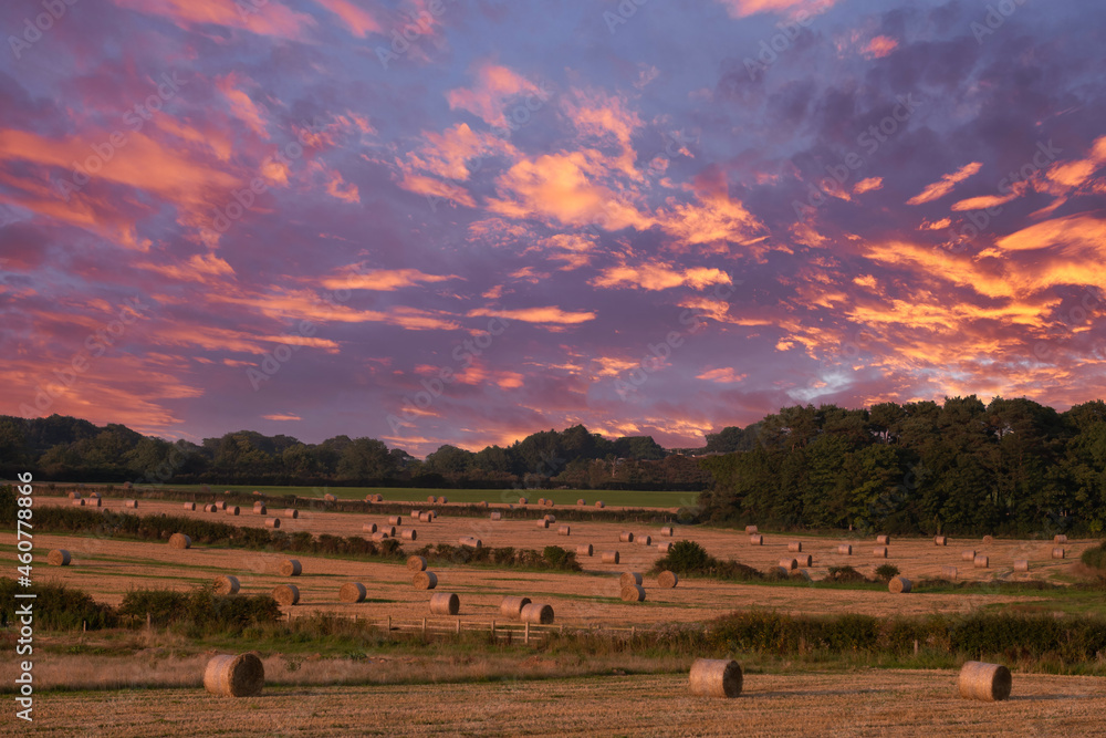Fresh cut bales of hay at Perceton Mains at Sunset Ayrshire Scotland,