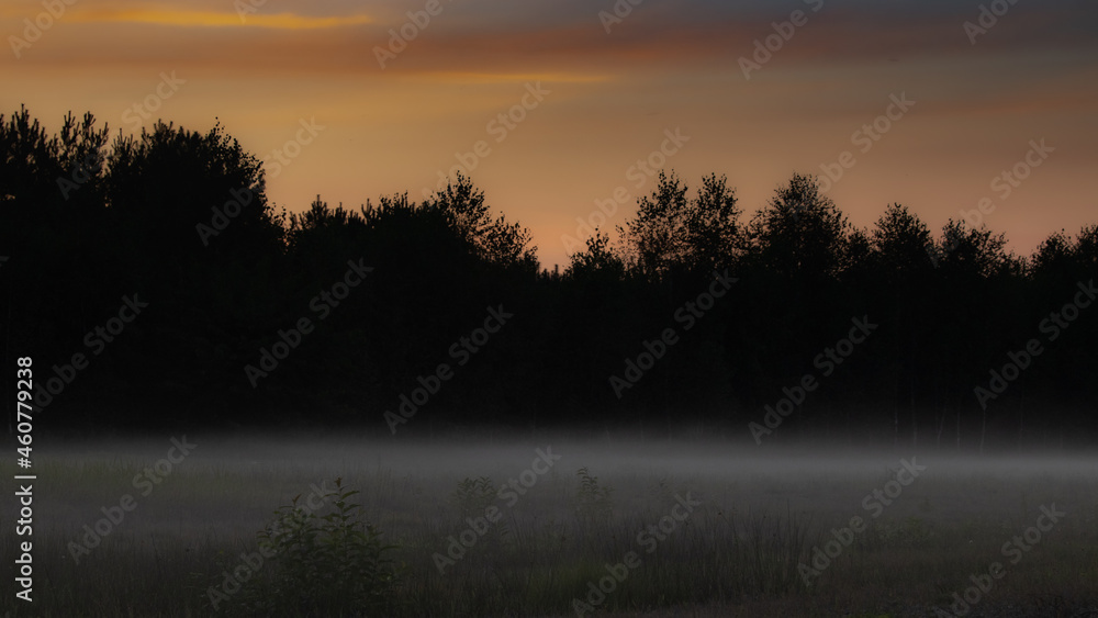 Fototapeta premium Natura