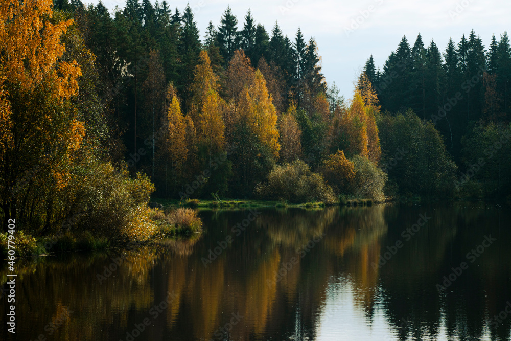 Lake and autumn forest