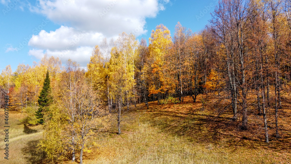 Autumn forest. Aerial photography. View from above Autumn forest. Aerial photography. View from above