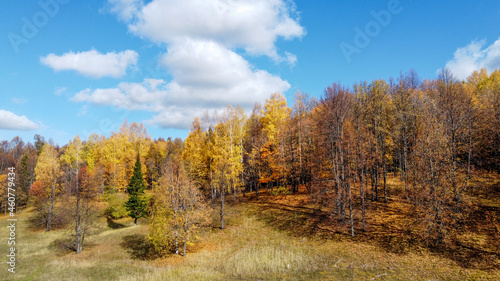 Autumn forest. Aerial photography. View from above