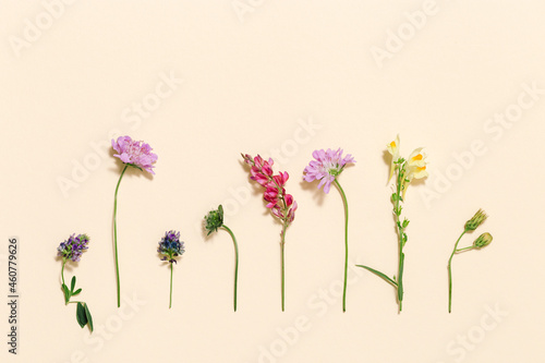 Top view fresh meadow flowers and grass Summer field plants as creative natural pattern.