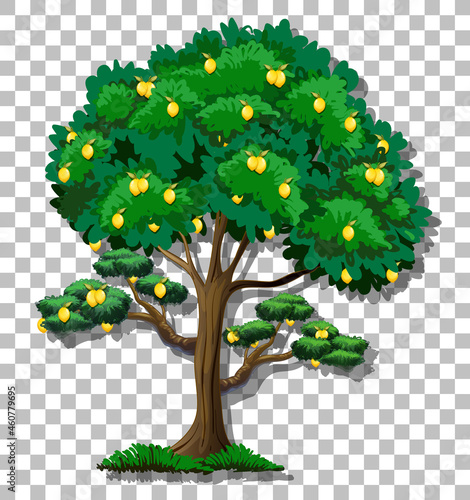 Lemon tree on transparent background