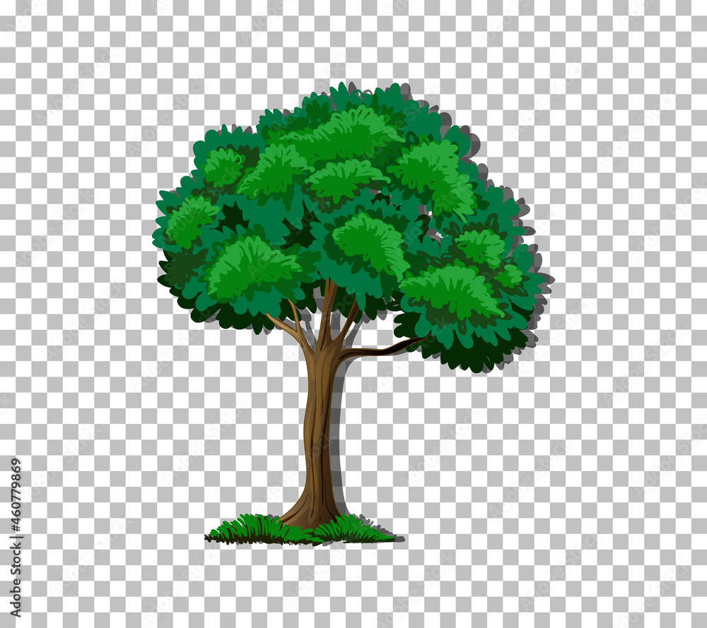 Obraz premium Tree on transparent background