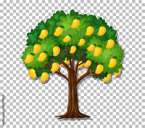 Mango tree on transparent background