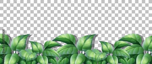 Grass and plants on transparent background for decor