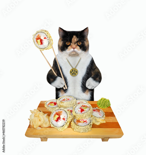 A colored cat eats hot rolls with chopsticks from a wooden tray. White background. Isolated.