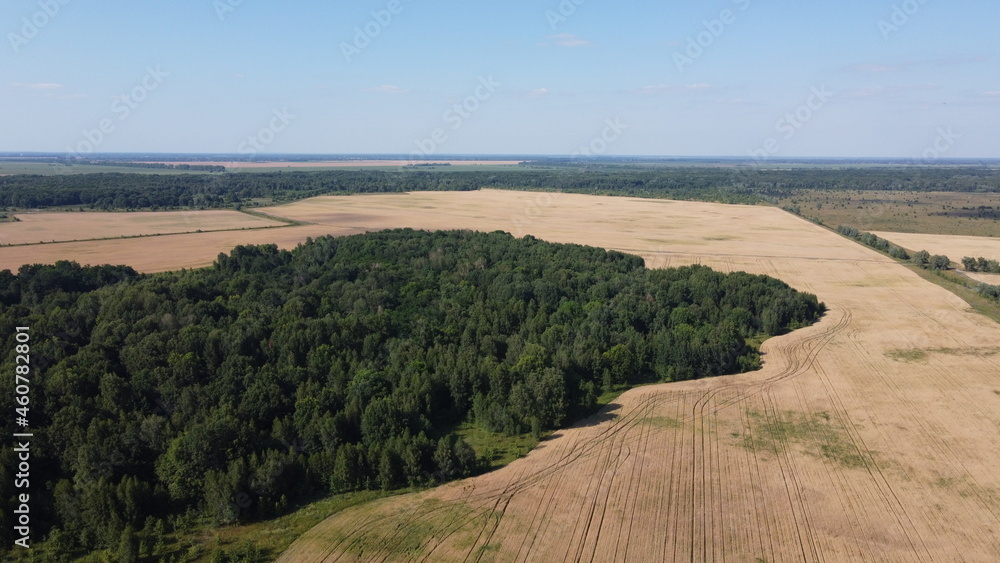 Green deciduous forest next to a farm field. Landscape from a bird's eye view. Sunny weather.