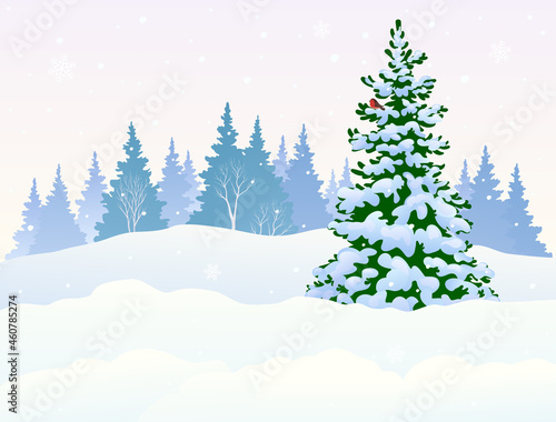 Snowy forest landscape with Christmas tree, winter background © Merggy