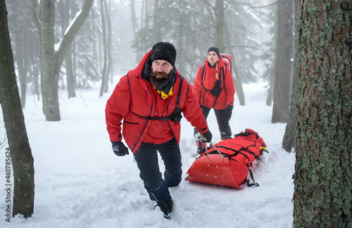 Bilde på lerret Mountain rescue service provide operation outdoors in winter in forest, injured person in stretcher