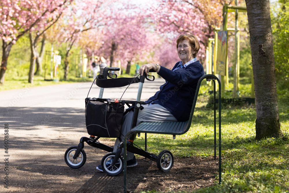 Seniorin sitzt allein im Park im Frühling auf einer Bank , den Rollator neben sich Seniorin sitzt allein im Park im Frühling auf einer Bank , den Rollator neben sich