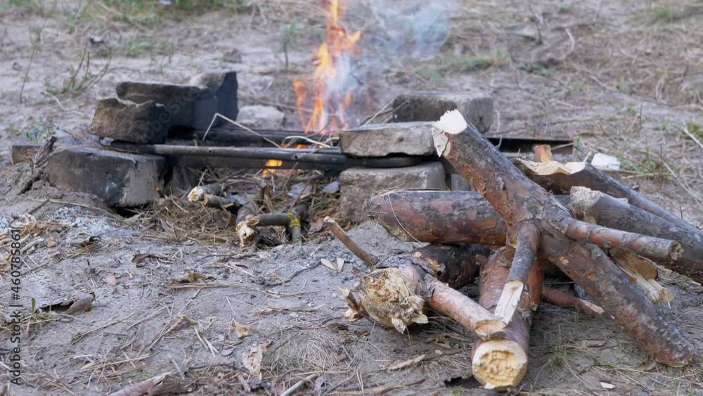 Pile of Dry Firewood on the Background of a blazing Bonfire in a Pine Forest. Storage dry logs. Concept survival in wildlife. Camping. Summer time. Sunset. 4K. Slow motion. Close up. Pile of Dry Firewood on the Background of a blazing Bonfire in a Pine Forest. Storage dry logs. Concept survival in wildlife. Camping. Summer time. Sunset. 4K. Slow motion. Close up.