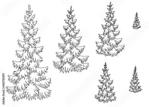 Fir tree set spruce graphic black white isolated sketch illustration vector 