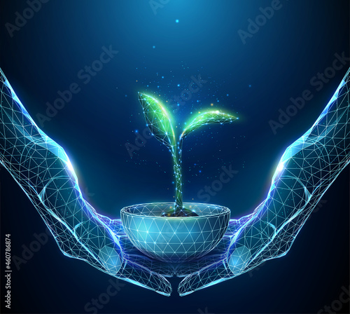 Abstract pair of hands holding young green plant in pot
