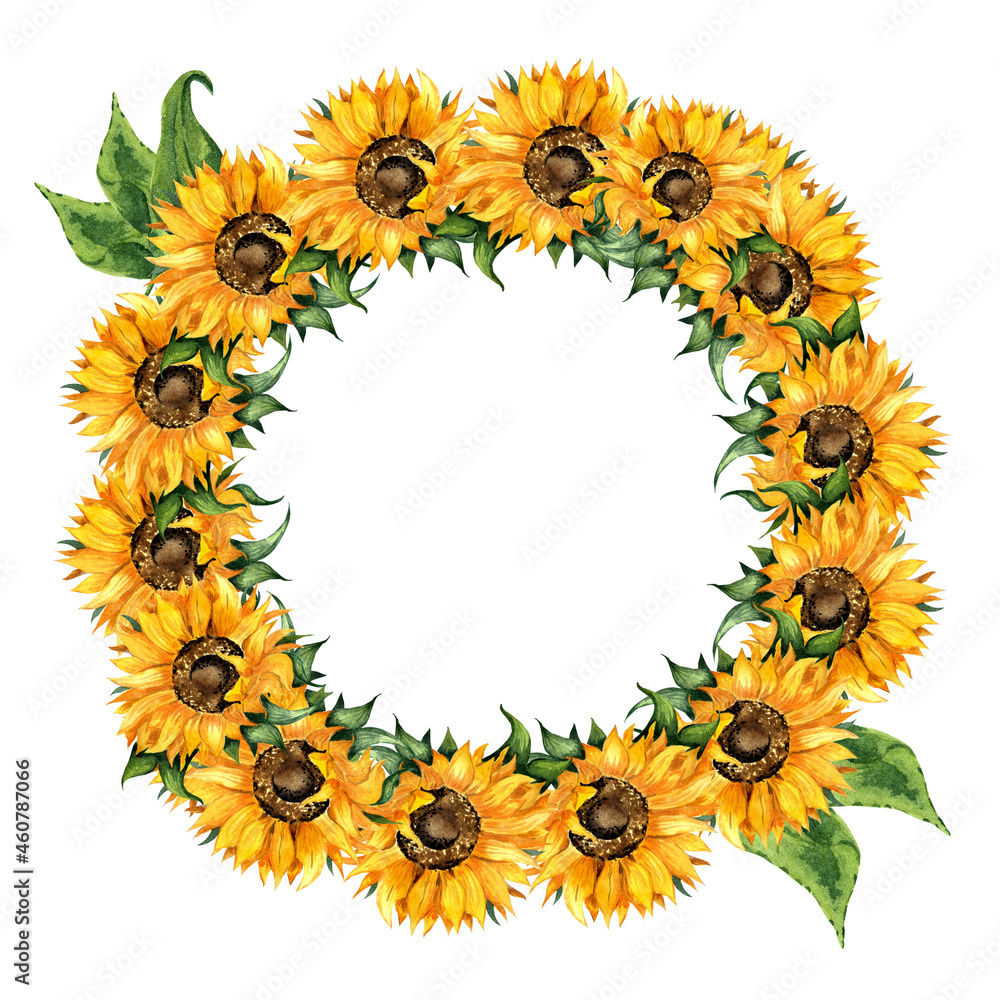 Sunflowers watercolor painting in a round frame. Autumn frame, thanksgiving, harvest festival, yellow flowers. Botanical border isolated on white background. Drawn by hand. Sunflowers watercolor painting in a round frame. Autumn frame, thanksgiving, harvest festival, yellow flowers. Botanical border isolated on white background. Drawn by hand.