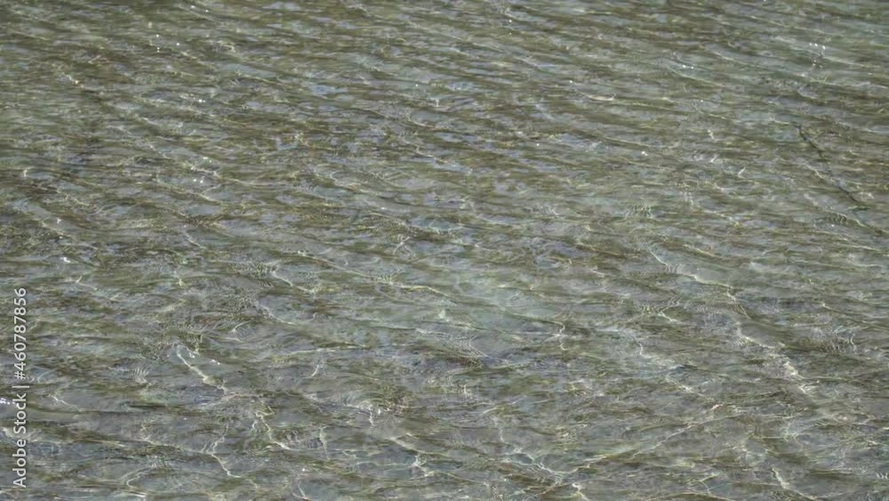 Movement of the water surface. Close-up of ripples on the water. Meditative and hypnotic effect. Selective focus Movement of the water surface. Close-up of ripples on the water. Meditative and hypnotic effect. Selective focus