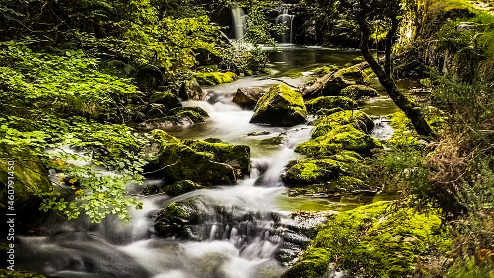 Beautiful waterfall in the forest with a long exposure effect, Ruta del Alba, Asturias Beautiful waterfall in the forest with a long exposure effect, Ruta del Alba, Asturias