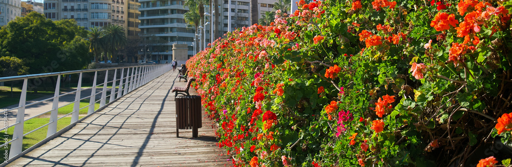 Horizontal panoramic cropped image view, Bridge of Flowers Puente de las Flores in Spanish city of Valencia. The bright coloured bridge that crosses the two sides of city, sunny day. Valencia. Spain
Horizontal panoramic cropped image view, Bridge of Flowers Puente de las Flores in Spanish city of Valencia. The bright coloured bridge that crosses the two sides of city, sunny day. Valencia. Spain