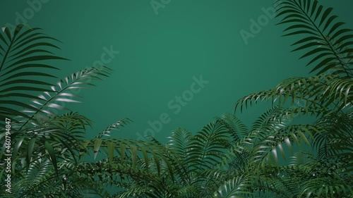 Leaves, grass, branches. Blowing wind effect. Botanical floral frame. Zoom out. Green background. Nature. Tropical plants. Spring, summer mood. Seasonal clip. 3D Render 4K animation 