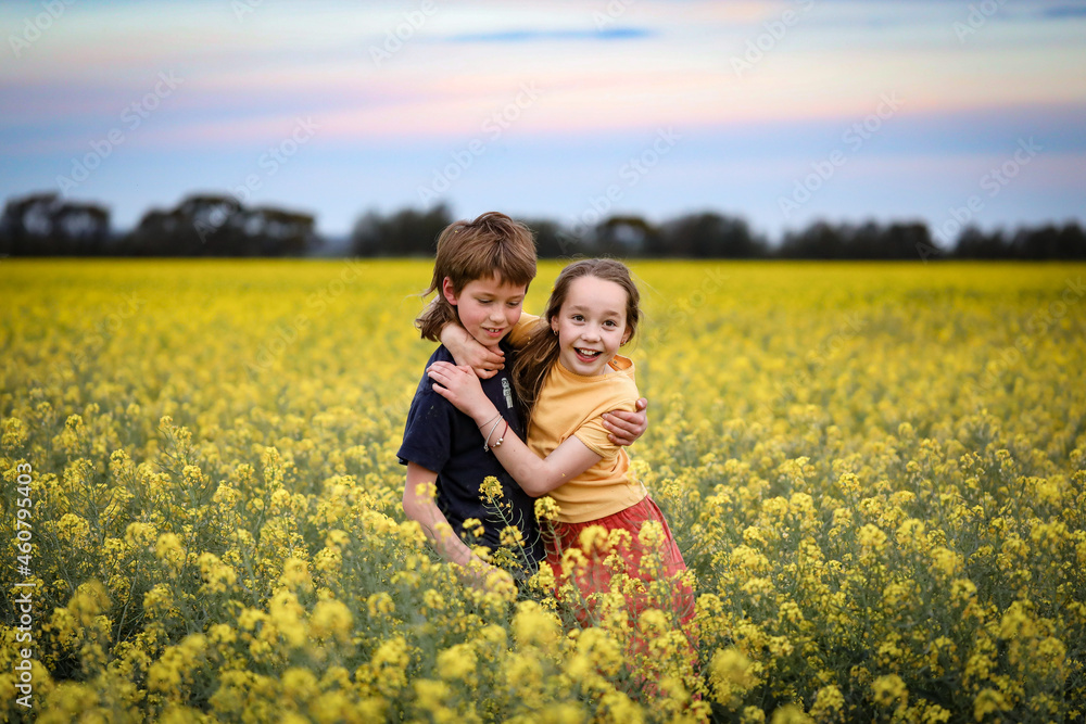 Brother and sister playing together in vibrant canola field in full bloom Brother and sister playing together in vibrant canola field in full bloom