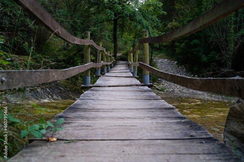 dark wooden bridge over green water river leading to forest,
salt del mir catalonia, spain