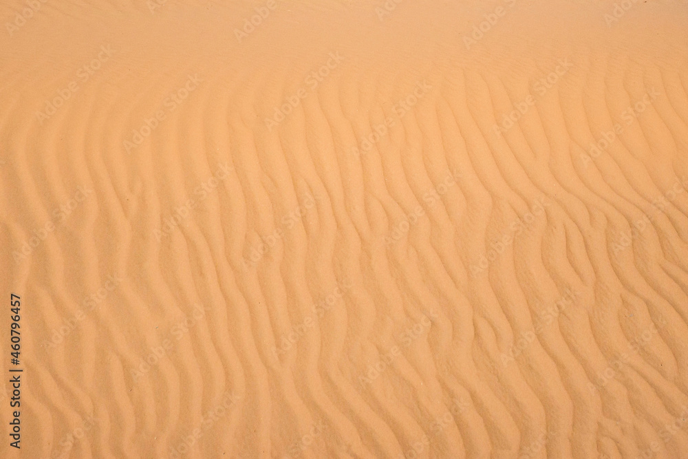 Ripple sand dunes texture background. Desert, sandy waves. Ripple sand dunes texture background. Desert, sandy waves.